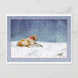 雪犬はがき ポストカード
