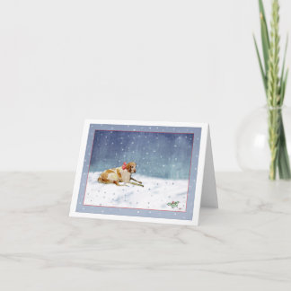 雪犬 カード