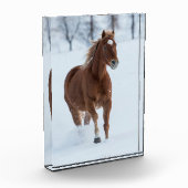 雪独身のの中ランニングの馬の馬 フォトブロック (左)