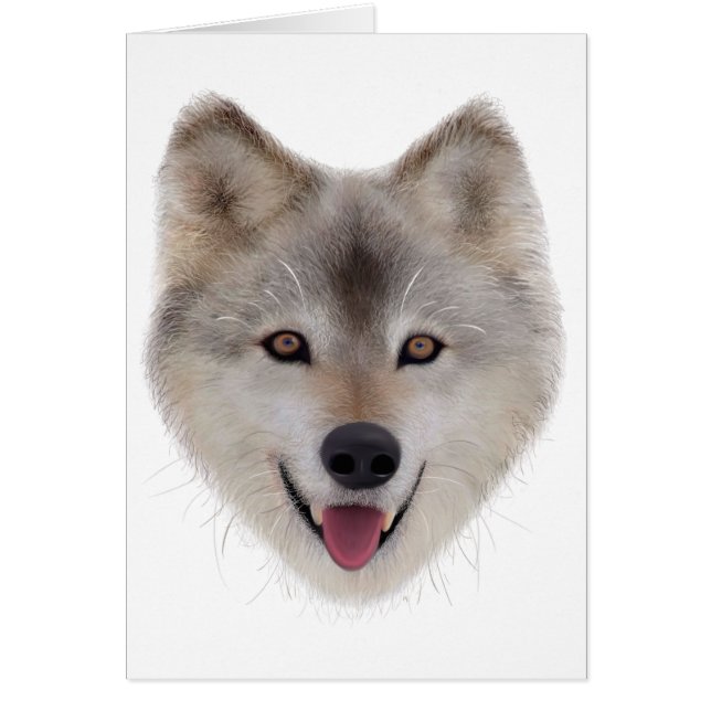 雪狼のスケッチ (正面)