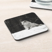 雪狼 コースター (左側)