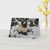 雪猫 カード (黄色い花)