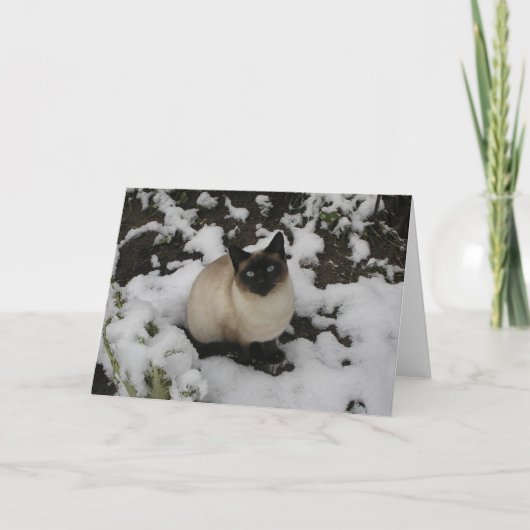 雪猫 カード (正面)