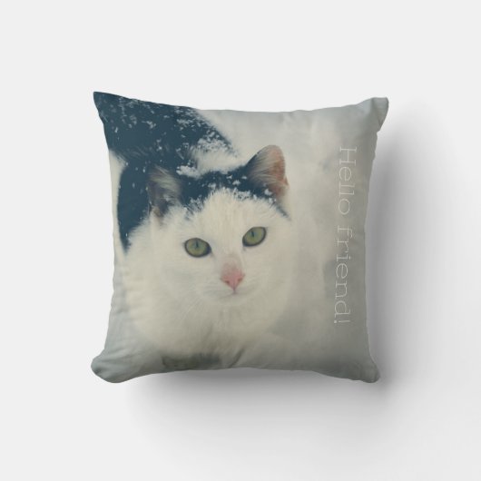 雪猫 クッション (正面)