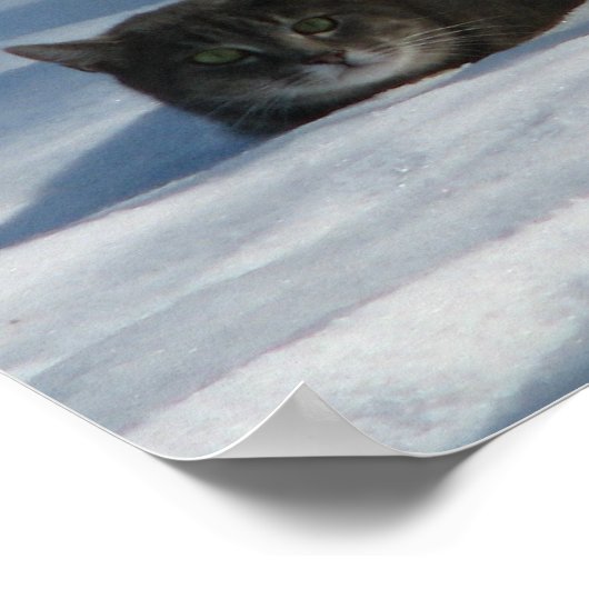 雪猫 ポスター (角)