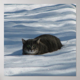 雪猫 ポスター
