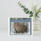 雪猫 ポストカード (スタンド正面)