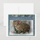 雪猫 ポストカード (正面/裏面)