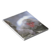 雪猿の母と子，地獄谷，長野， ノートパッド (アングル)