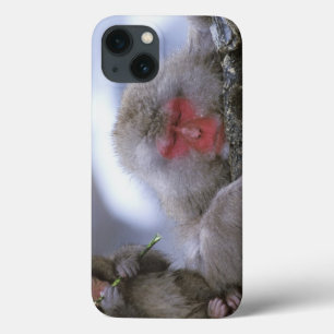 雪猿の母及び子供、Jigokudani、長野、 iPhone 13ケース
