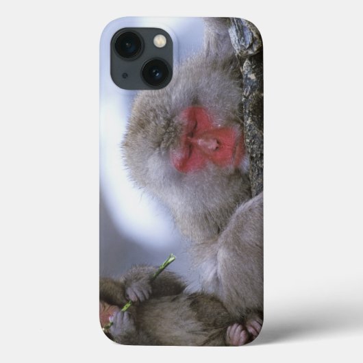 雪猿の母及び子供、Jigokudani、長野、 Case-Mate iPhoneケース (裏面)