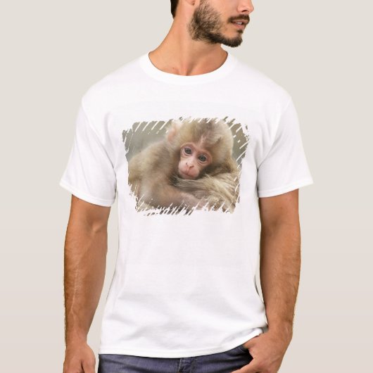 雪猿 赤ちゃん 地獄谷 長野 日本 2 Tシャツ (正面)