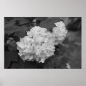 雪玉春 ポスター (正面)