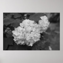 雪玉春 ポスター