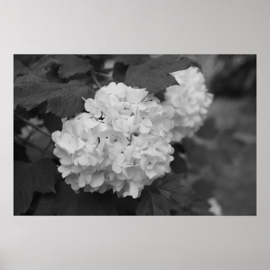 雪玉春 ポスター (正面)