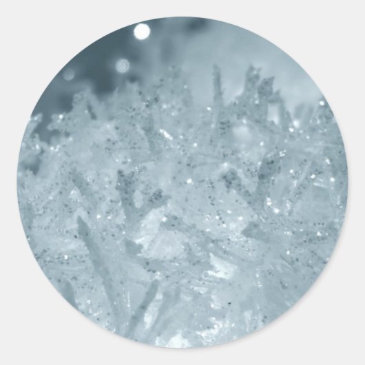 雪玉2 ラウンドシール (正面)