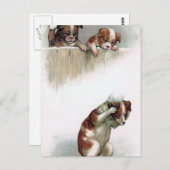 "雪玉"の遊んでいる犬ヴィンテージ ポストカード (正面/裏面)