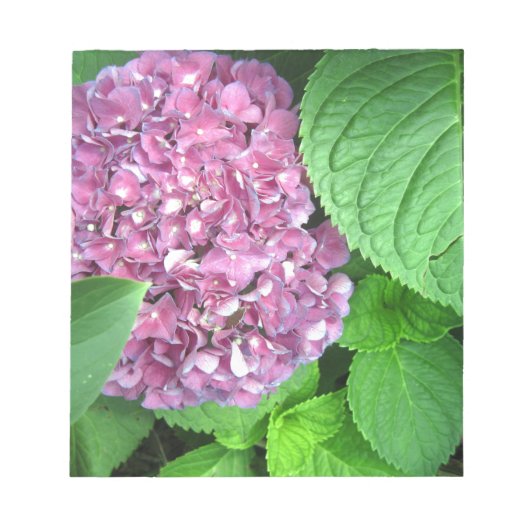 雪玉 ノートパッド (正面)