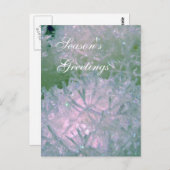 雪玉 ポストカード (正面/裏面)