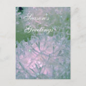 雪玉 ポストカード (正面)