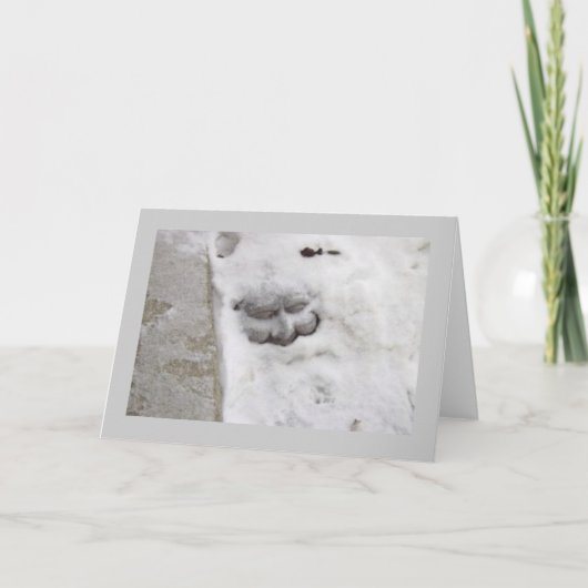 雪男 シーズンカード (正面)