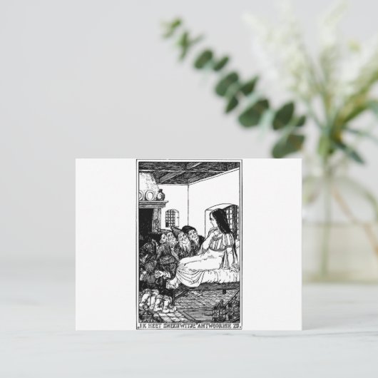 雪白 ポストカード (スタンド正面)