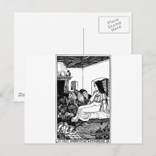 雪白 ポストカード (正面/裏面)