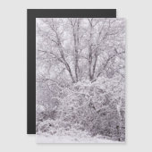 雪磁気カ空白のード (正面/裏面)