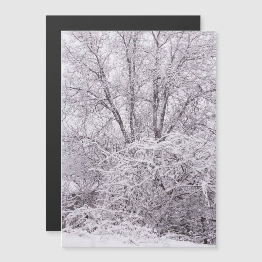 雪磁気カ空白のード (正面/裏面)