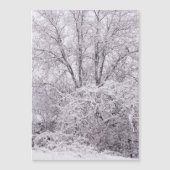 雪磁気カ空白のード (正面)