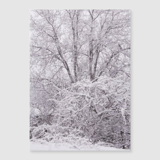 雪磁気カ空白のード (正面)