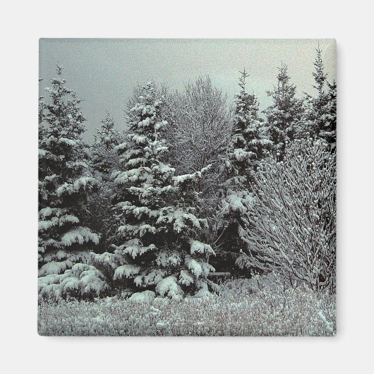 雪磁石の毛布 マグネット (正面)