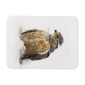 雪磁石の準備ができている マグネット (横)