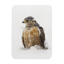 雪磁石の準備ができている