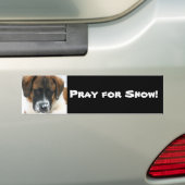 雪祈だ! バンパーステッカー (車上)