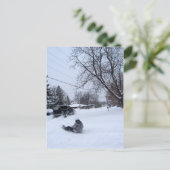 雪管冬おもしろい ポストカード (スタンド正面)