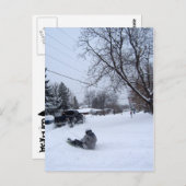 雪管冬おもしろい ポストカード (正面/裏面)