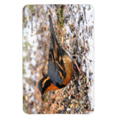 雪素晴らしの上で多様なツグミの鳴鳥 マグネット (縦)