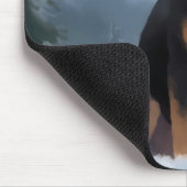 雪素晴らしの中のスイスの山犬 マウスパッド (コーナー)