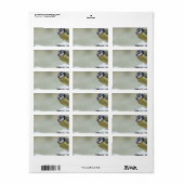 雪素晴らしの中の青いチットの野鳥 ラベル (フルシート)