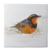 雪素晴らしの日に多様なツグミのソングバード タイル (正面)