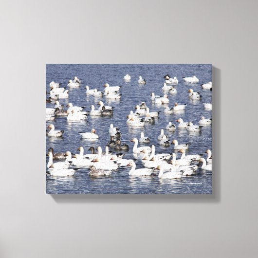 雪素晴らしガチョウの群れビーチ キャンバスプリント (正面)