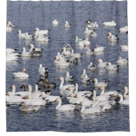 雪素晴らしガチョウの群れビーチ シャワーカーテン