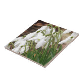 雪素晴らし粒 タイル (側面)