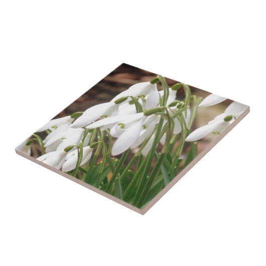 雪素晴らし粒 タイル (側面)