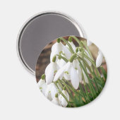 雪素晴らし粒 マグネット (正面/裏面)