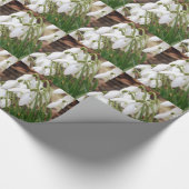 雪素晴らし粒 ラッピングペーパー (角)