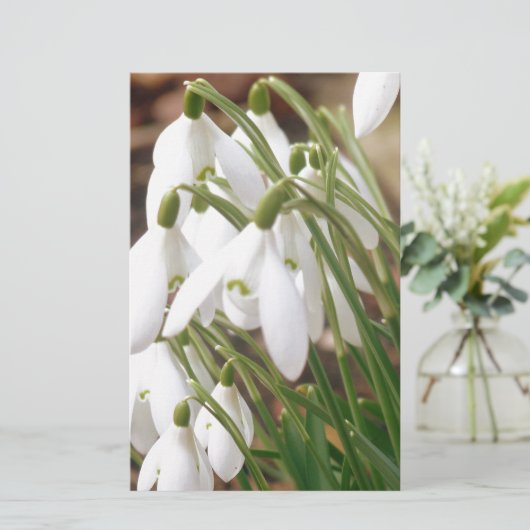 雪素晴らし粒 便箋 (スタンド正面)