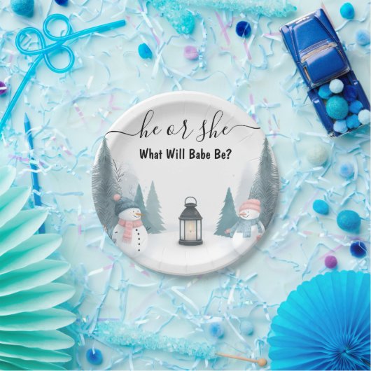 雪素朴氷の冷たい冬のジェンダーが明らかにする ペーパープレート (パーティー)