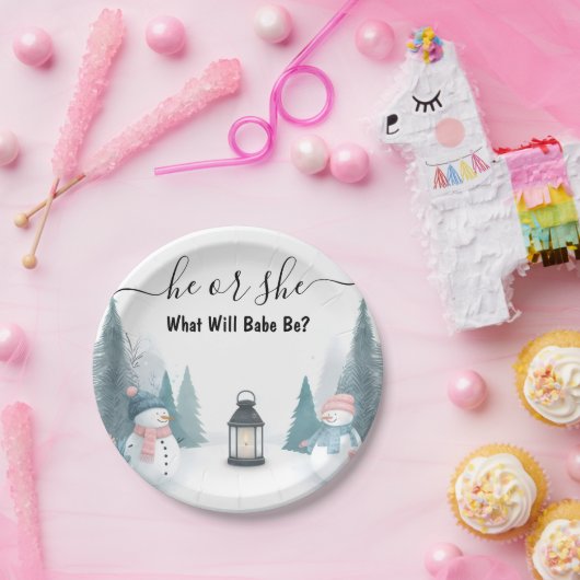 雪素朴氷の冷たい冬のジェンダーが明らかにする ペーパープレート (パーティー)